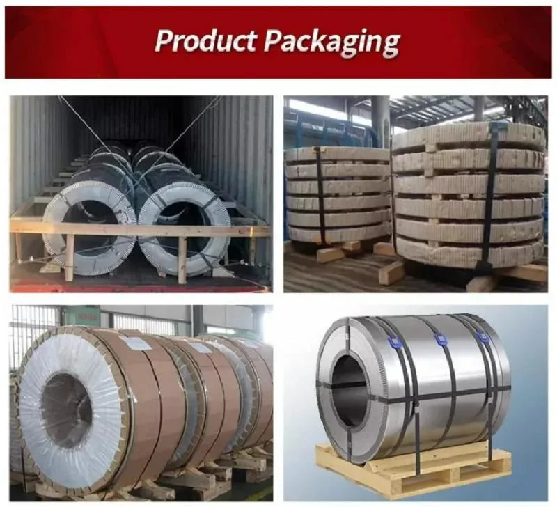 Stainless Steel Coil 304,304L,316L,309S,310S,321,321H,314,2205,2507,600,631,800h,825,901,903,904L,1.4529,317,347H,348h,253mA,254smo,25-6MOS Alloy Galvanized